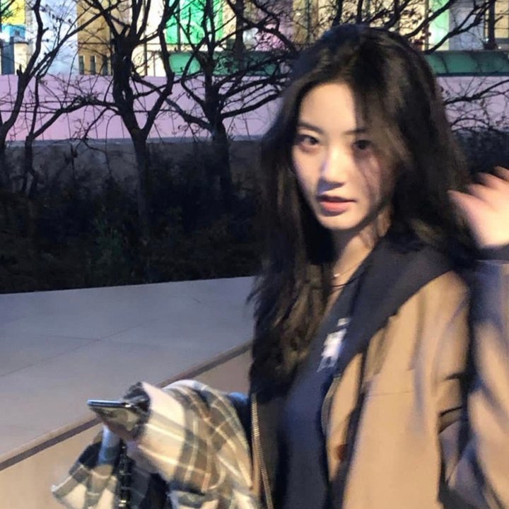沉香如屑·沉香重华